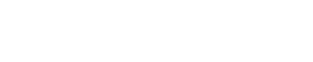 rolzone white colour logo